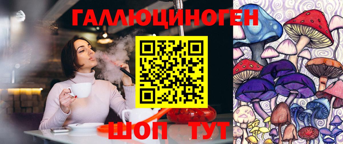 Галлюциногенные грибы Psilocybe  Вход с VPN  Учалы  Псилоцибиновые грибы мицелий 